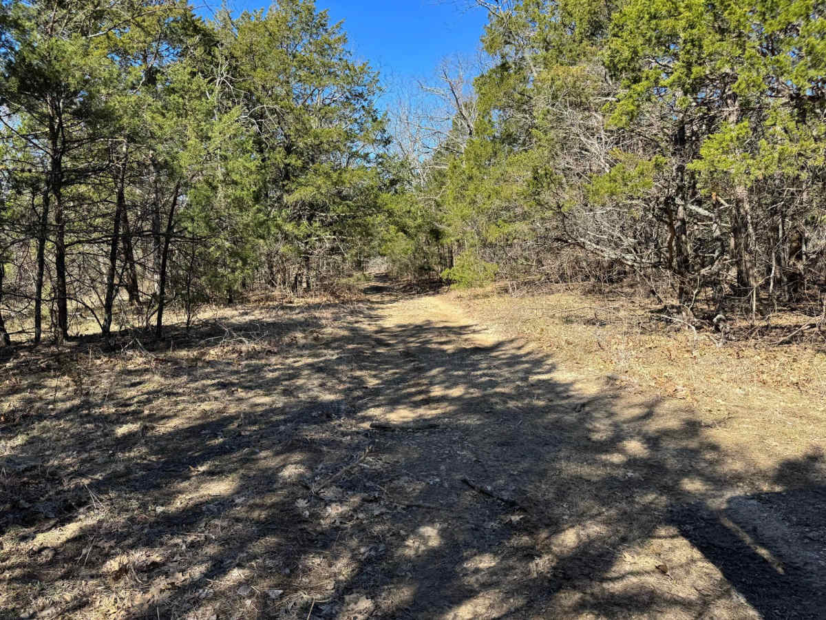 Brushy Ridge Spur D - FRS 606D photo 2