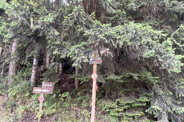 Elkberry Creek Road