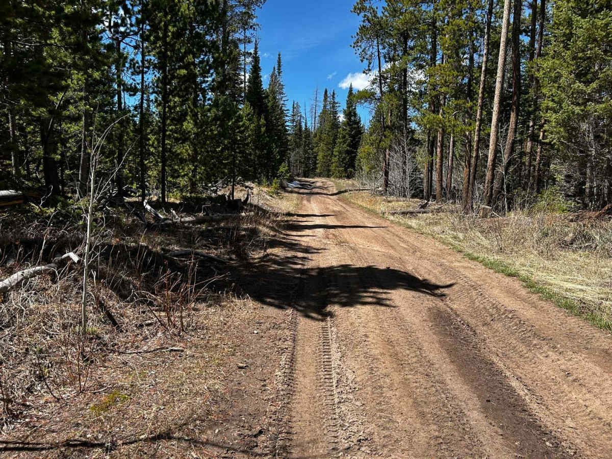 Pratt Creek Cutoff South photo 6