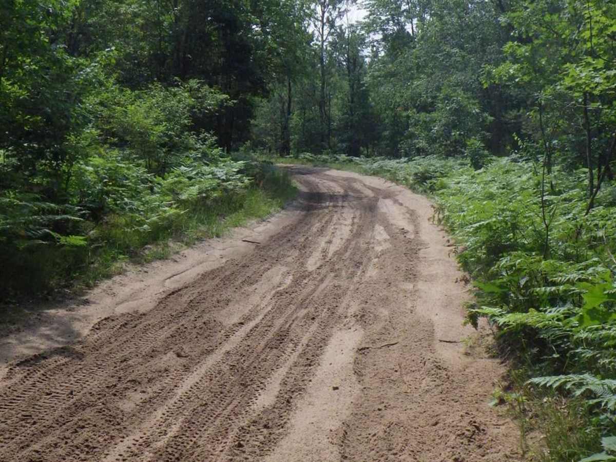Frederic Route trail photo