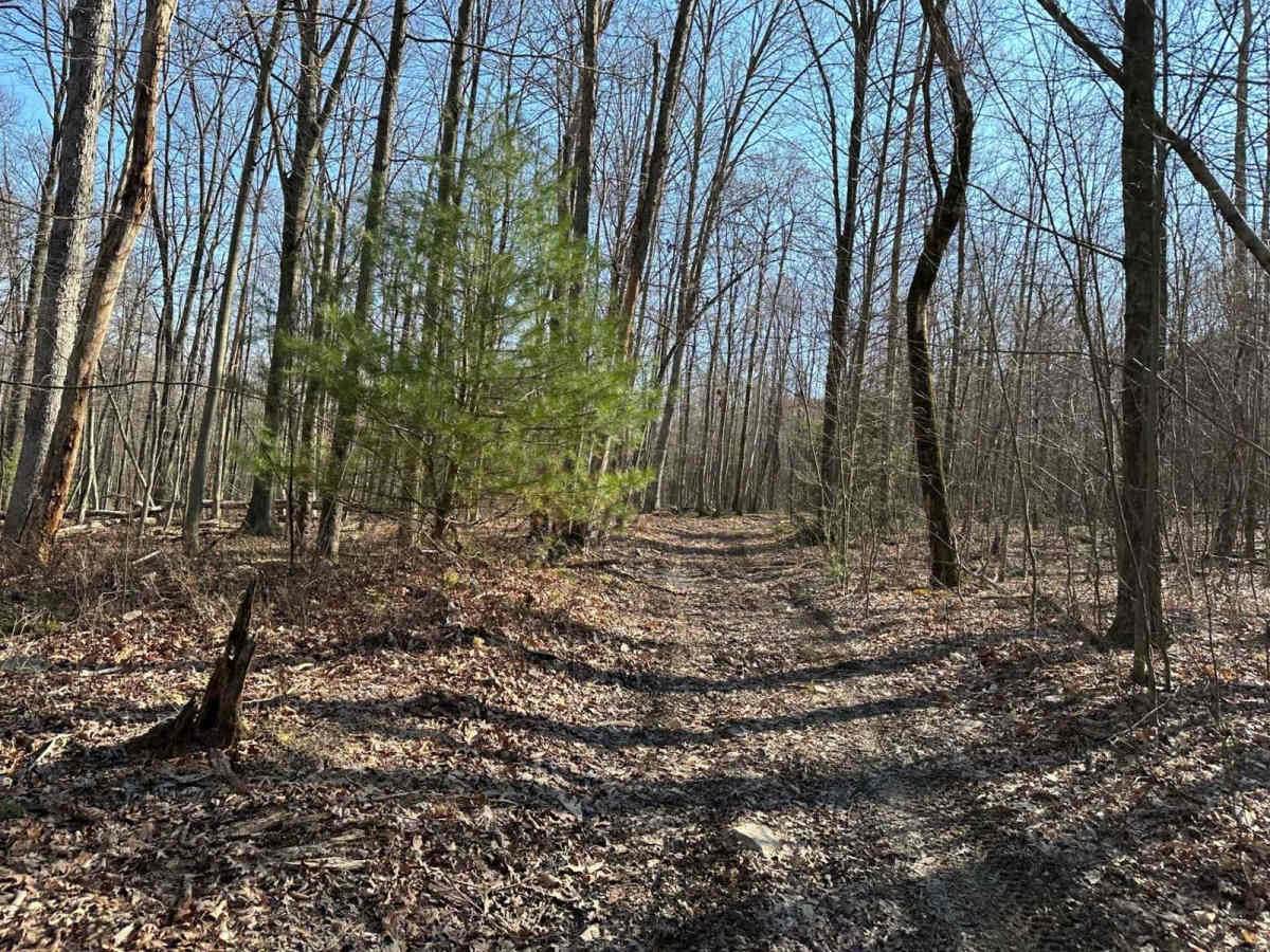 Tower City 26 trail photo