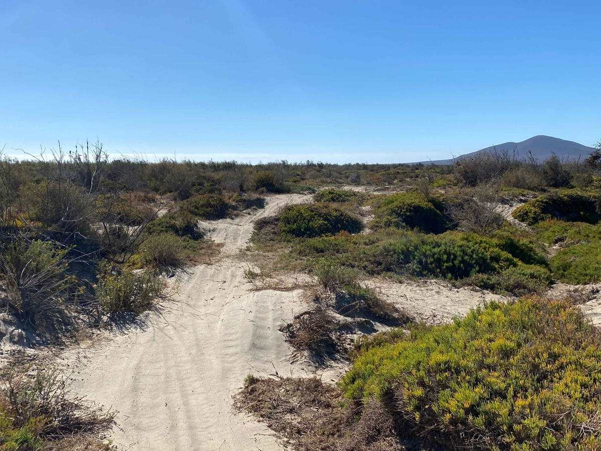 Mision Santa Maria Dunes photo 2