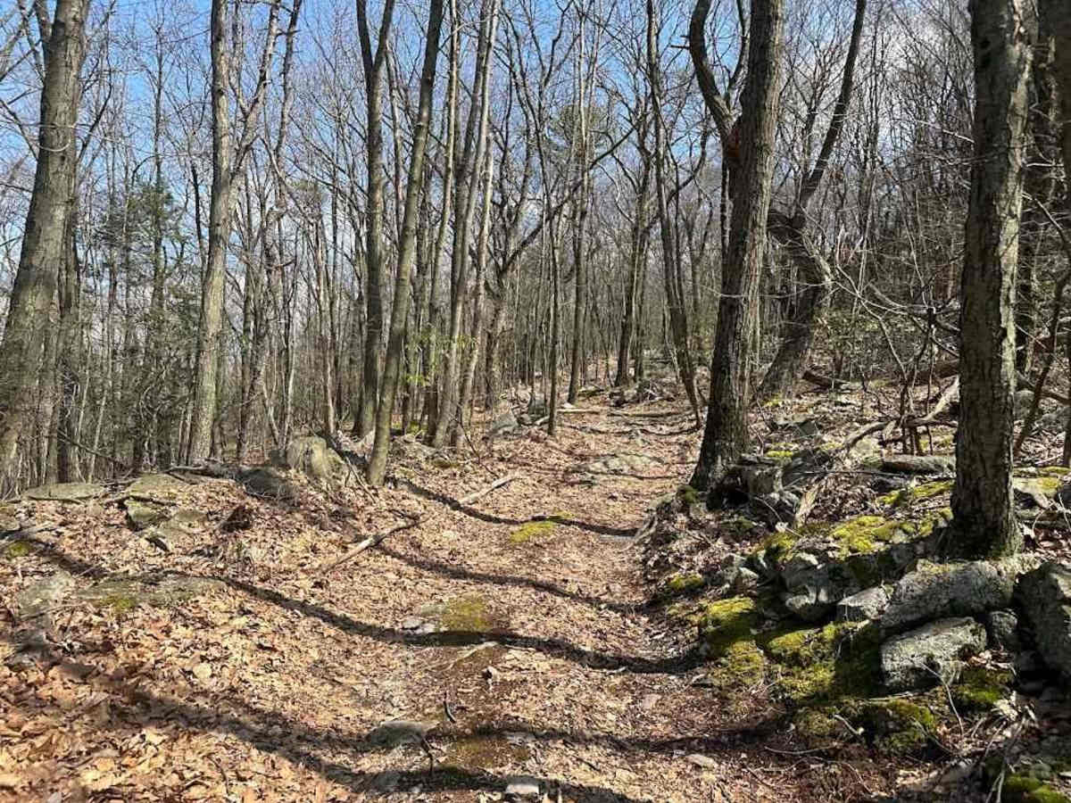 Ashland 127 photo 3