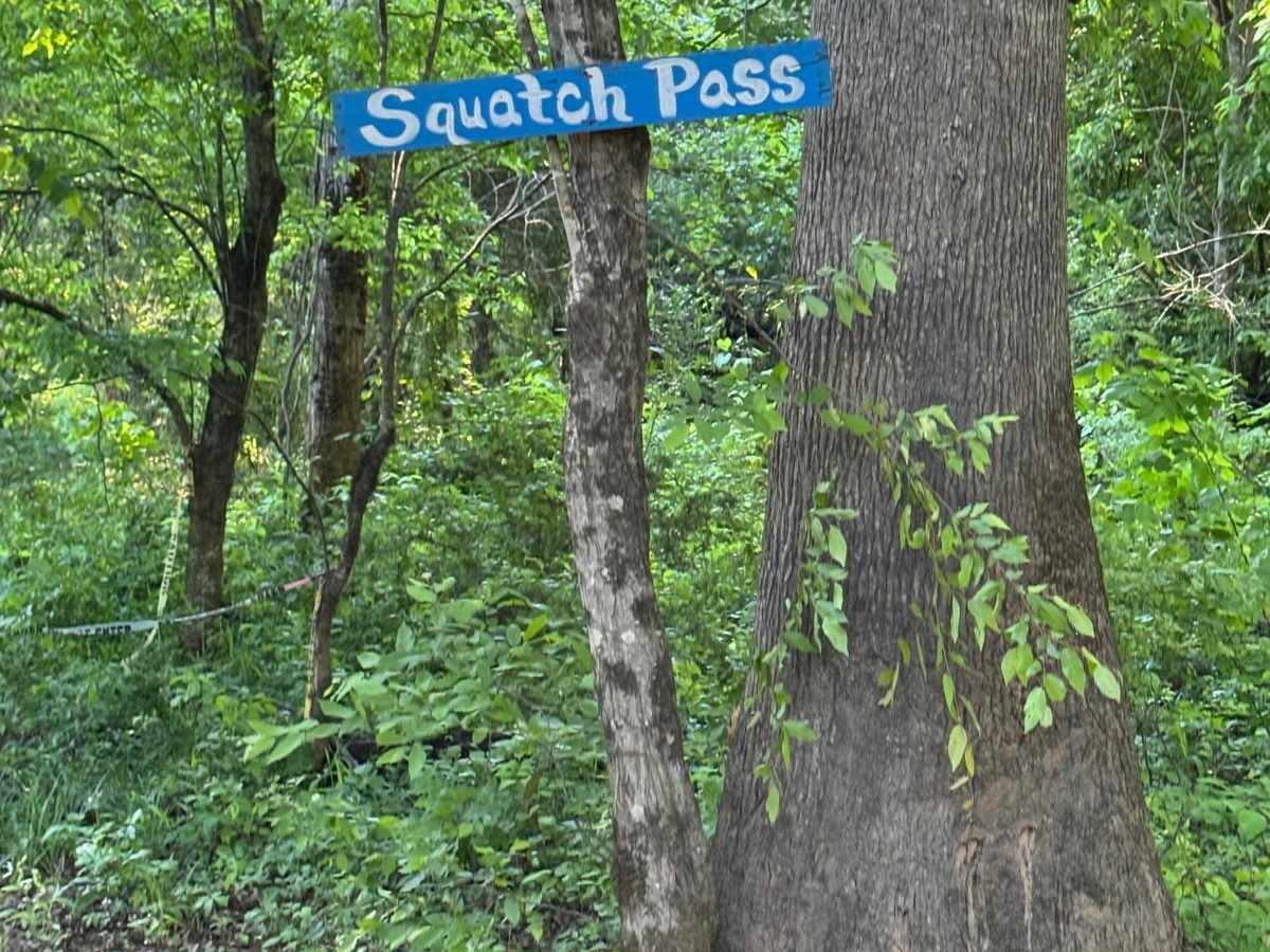 Squatch Pass trail photo