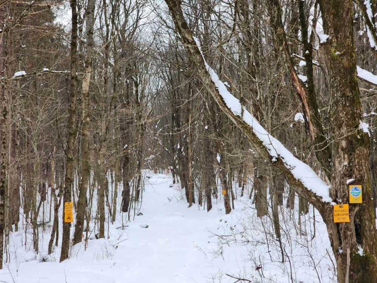 Albert J Woodward Memorial Forest Traverse photo 6