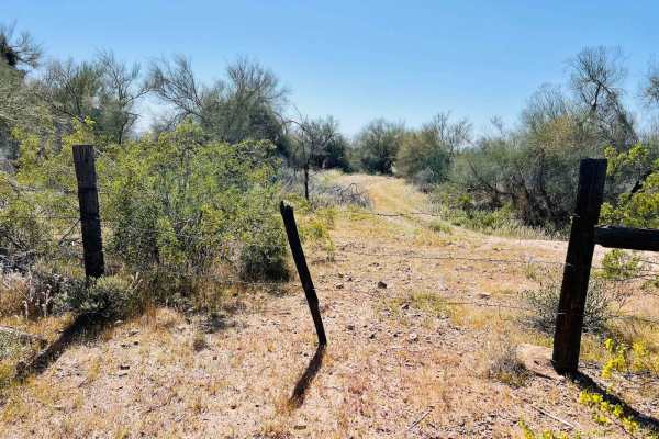 BLM 9090a Dead End