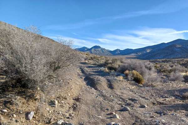 552 Mining Entry Road