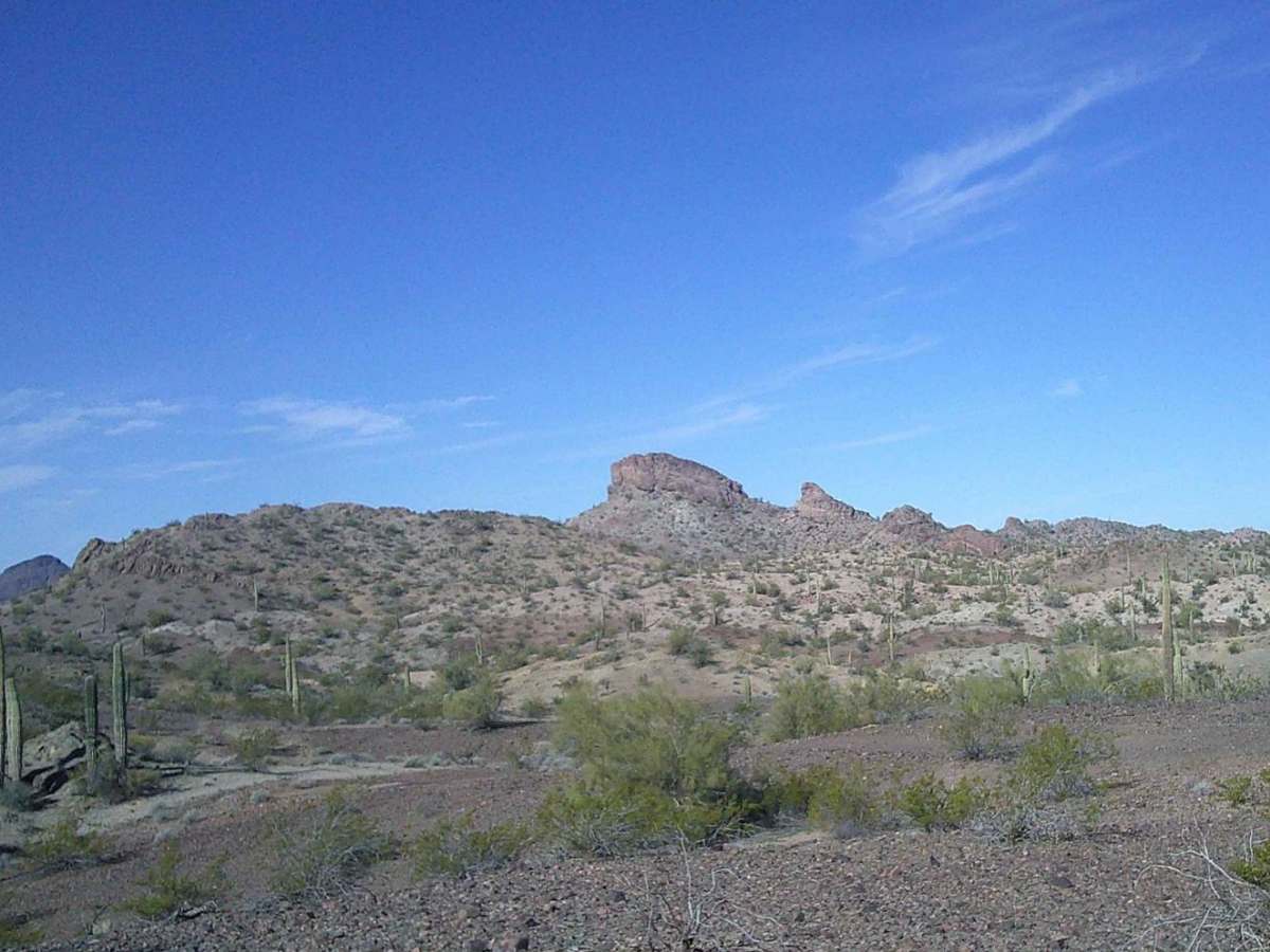 Cactus Road photo 2