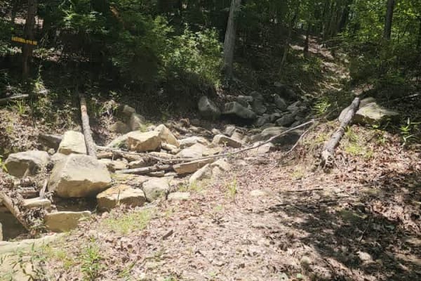 East Creek