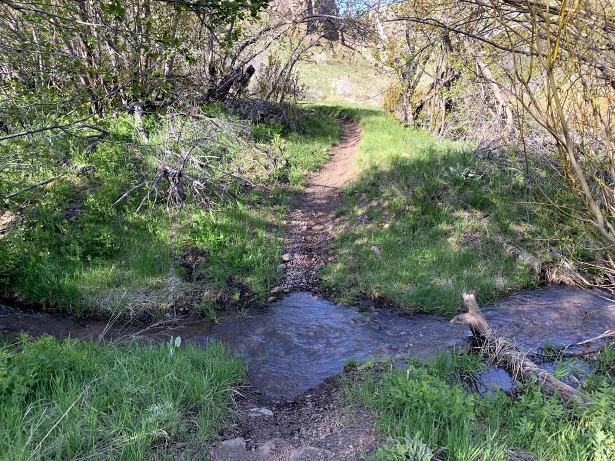 Third Fork photo 3