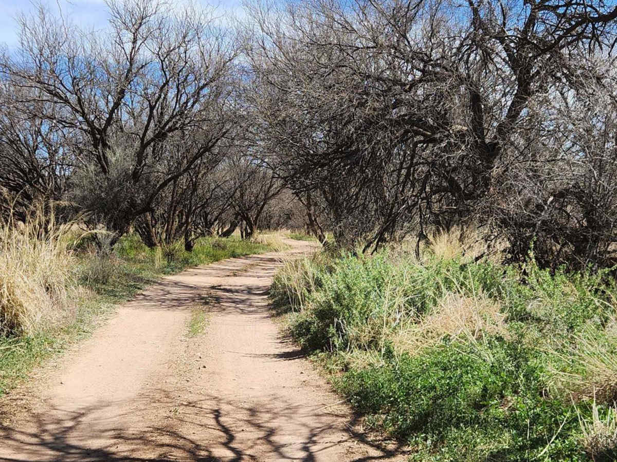 Andrada Tank Loop FR 6905 photo 5