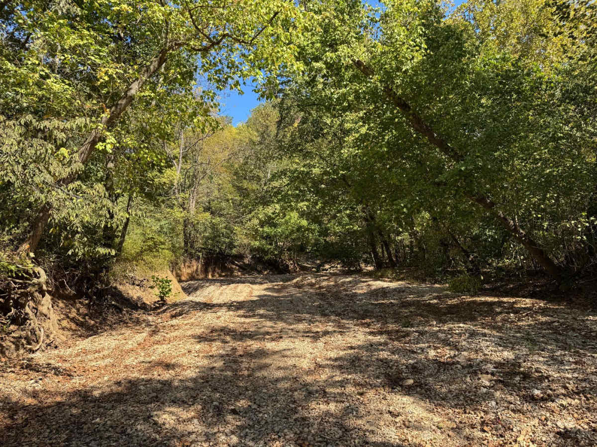 Creek Bed 12 photo 3