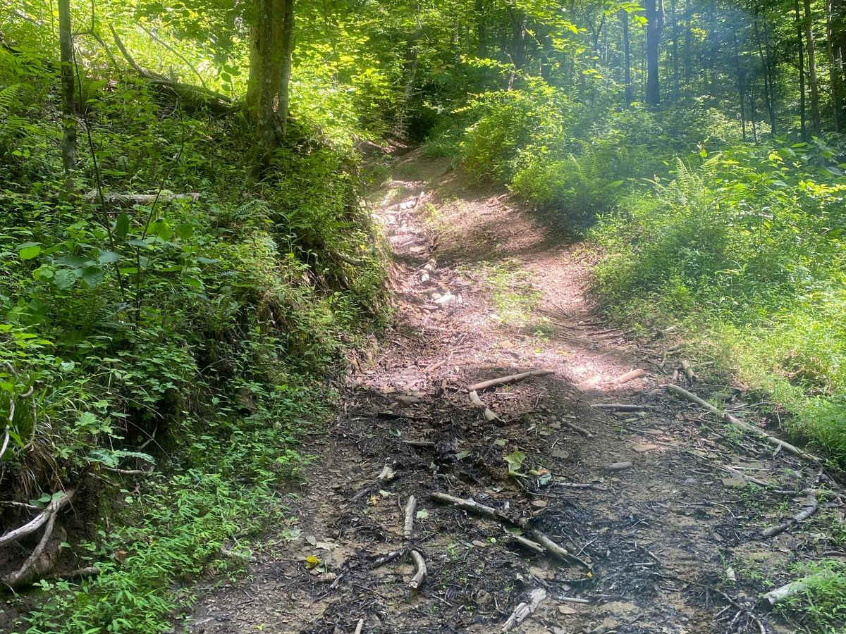 Trail 6 photo 2