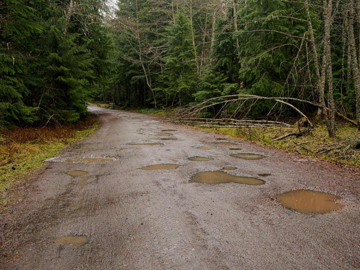 Dickman Mountain Lookout photo 3