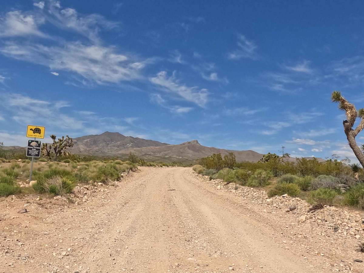 Old Mormon Wagon Trail (East) photo 5