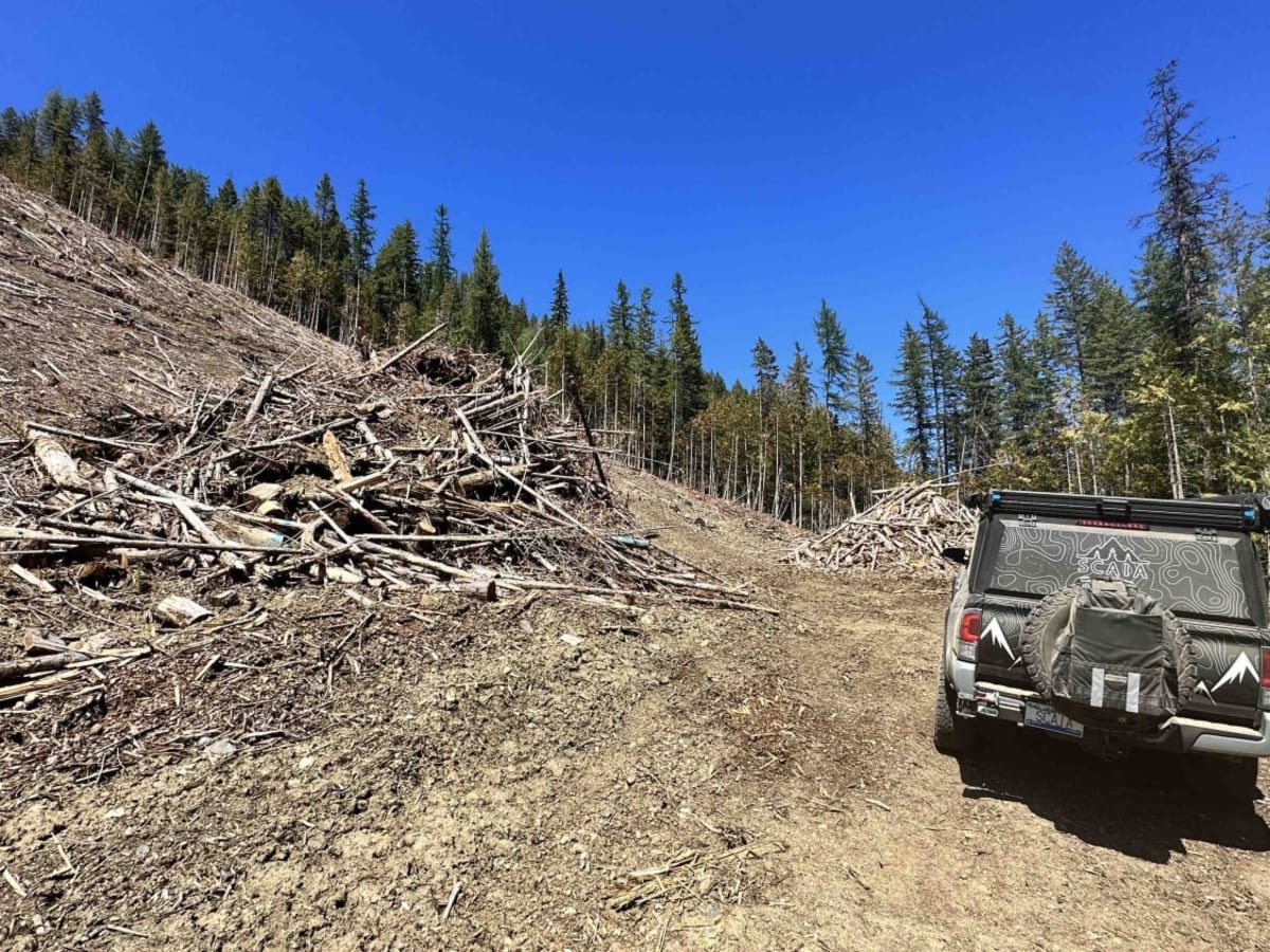 Crater Creek Road trail photo