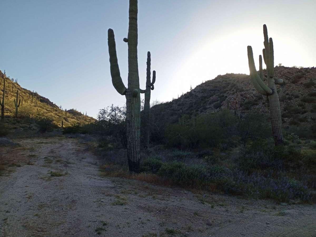 Hawk Hills Canyon photo 4