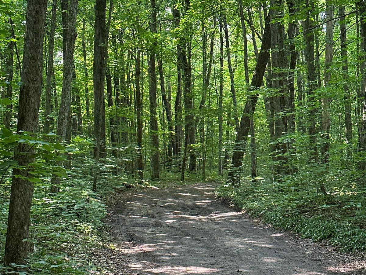 Lost Lake Road photo 6