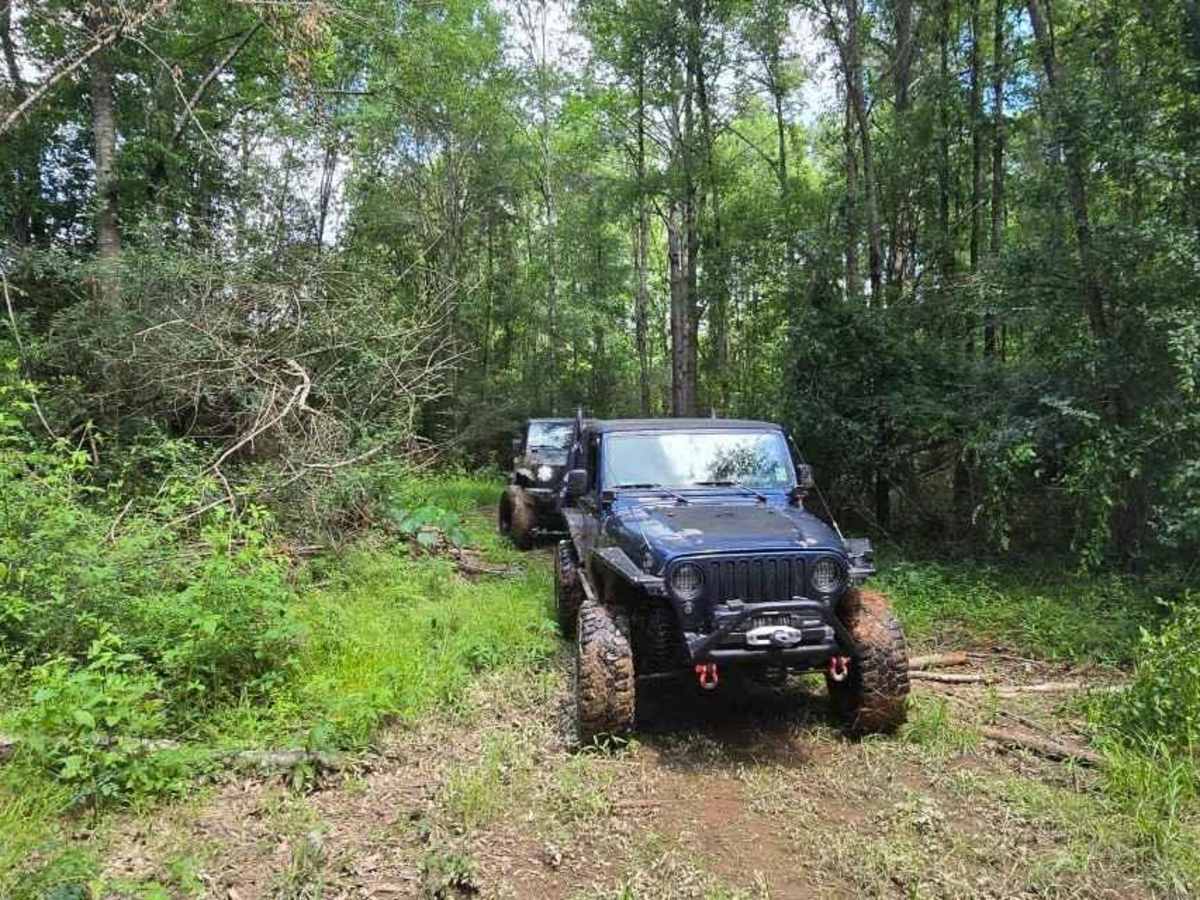 Trail 4 trail photo