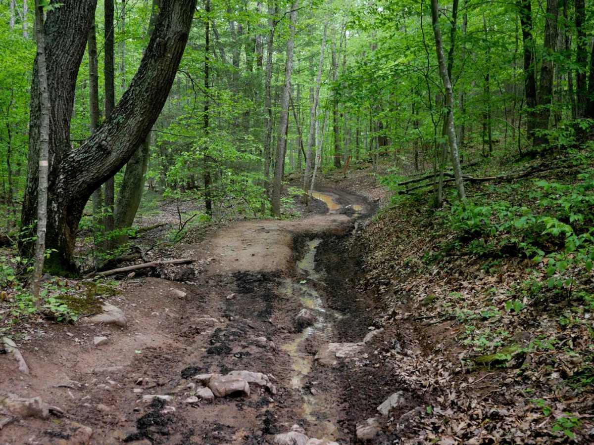 Trail 7 photo 4