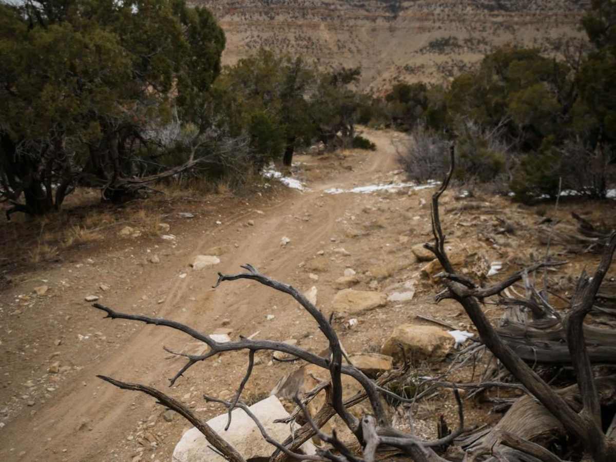 Sarlacc Trail photo 4