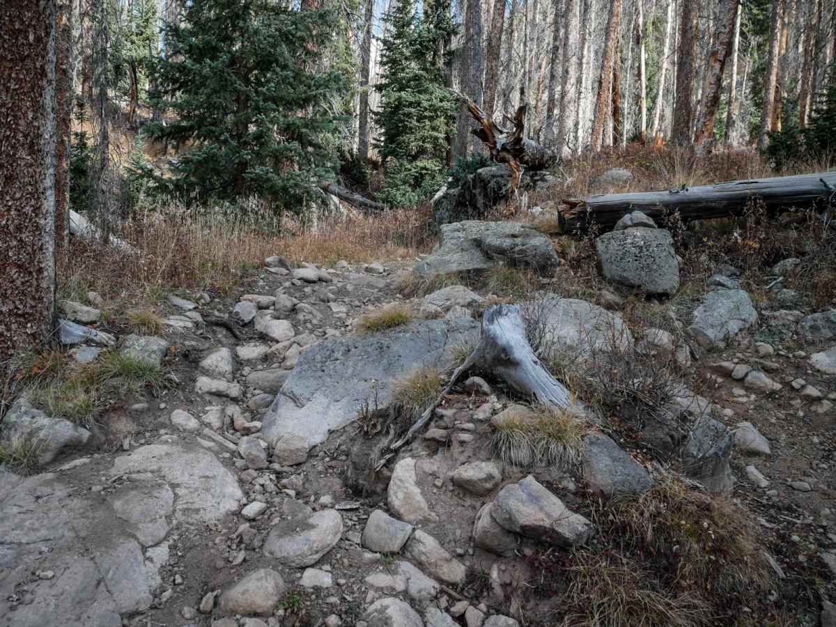 Embargo trail photo