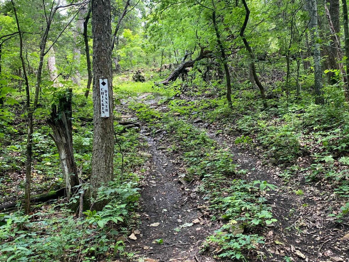 Chicken Dinner trail photo