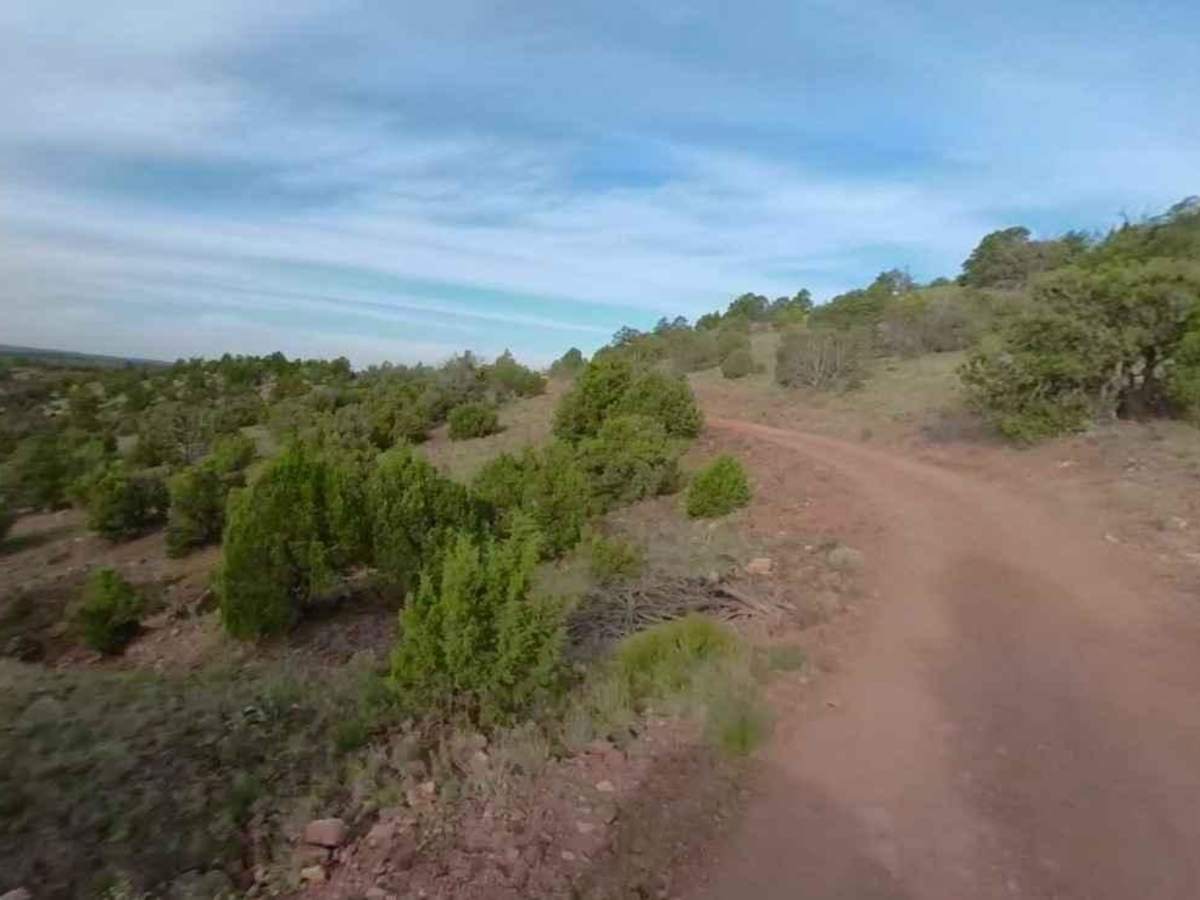 Agway Road-BLM1018 photo 5