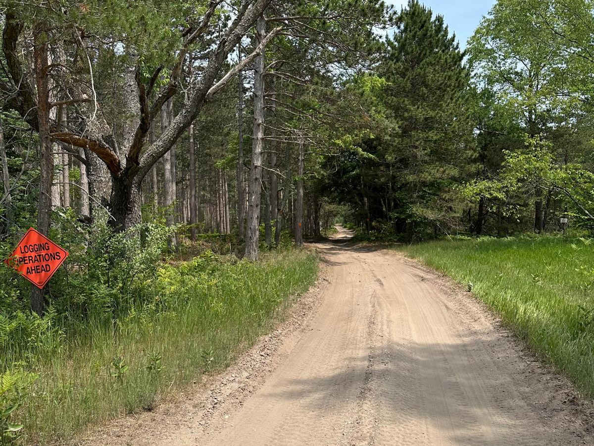 Betsie Road trail photo