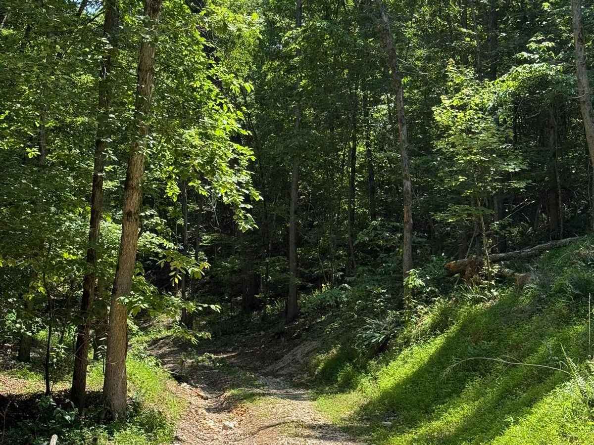 Gunnar's Trail photo 5