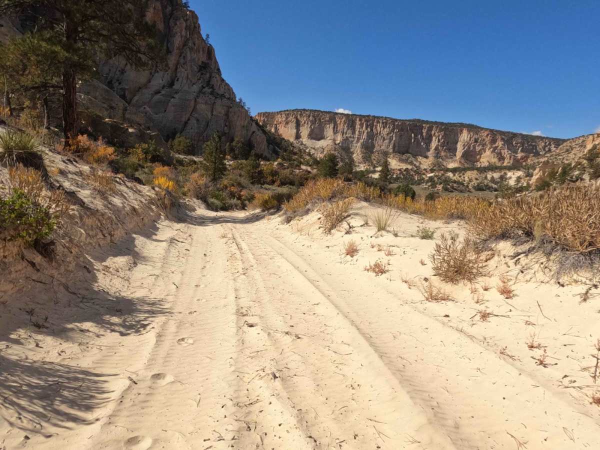Swallow Park/North Swap Road trail photo