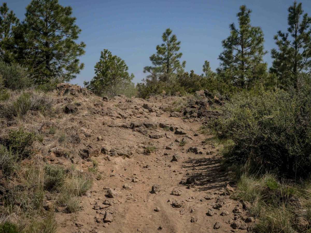 24 trail photo
