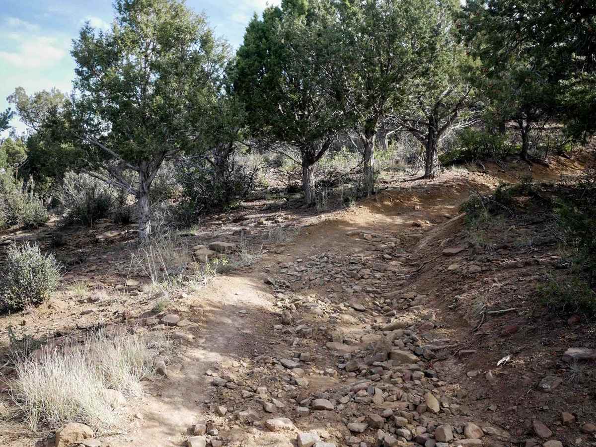Ridge photo 5