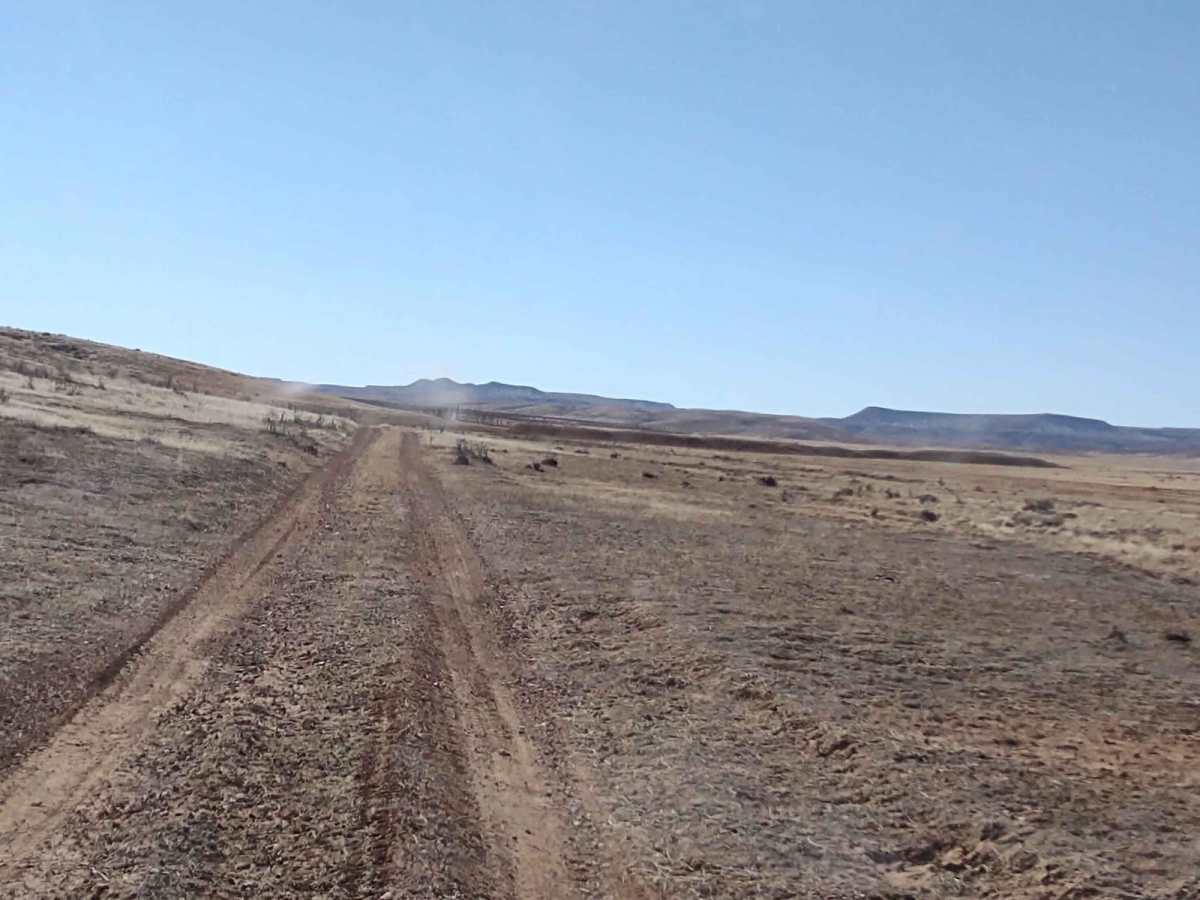 Northern Arizona High Desert (Part 1) photo 5