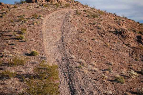 Nelson Single Track