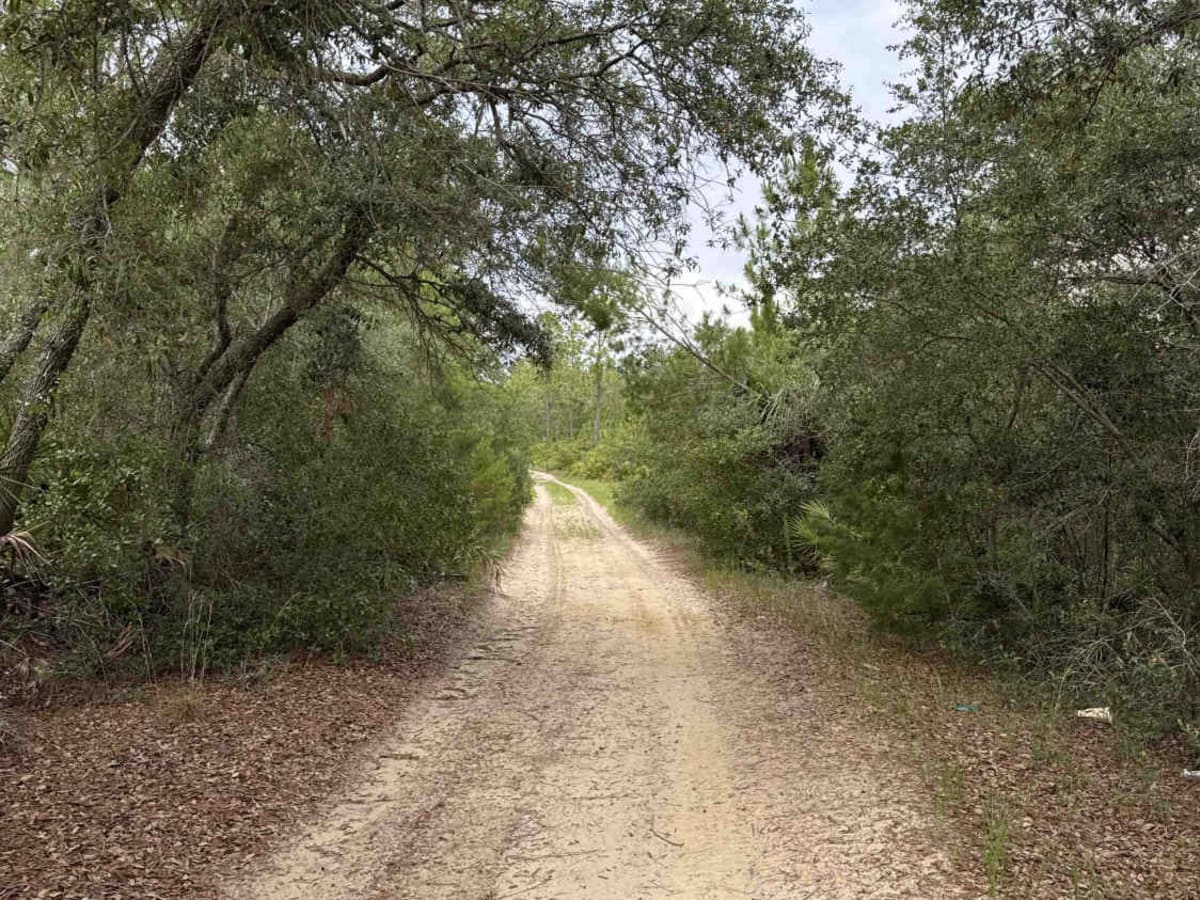 Glenn Brench - ONF 42-21.0 photo 2
