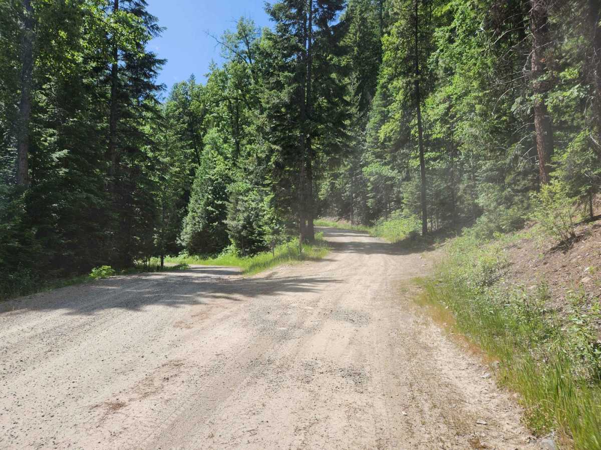 Twenty Mile Leonia photo 3