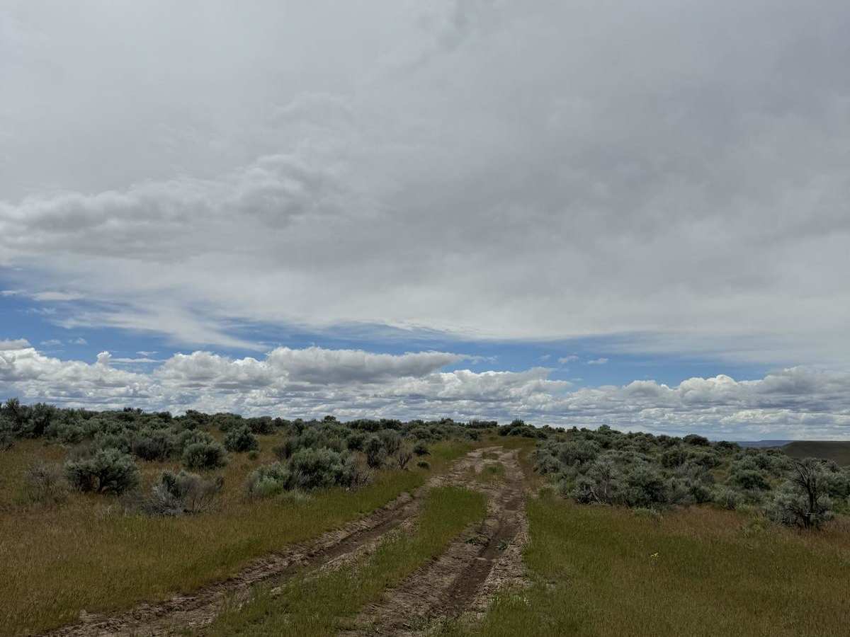 Pumpjack Plateau photo 5