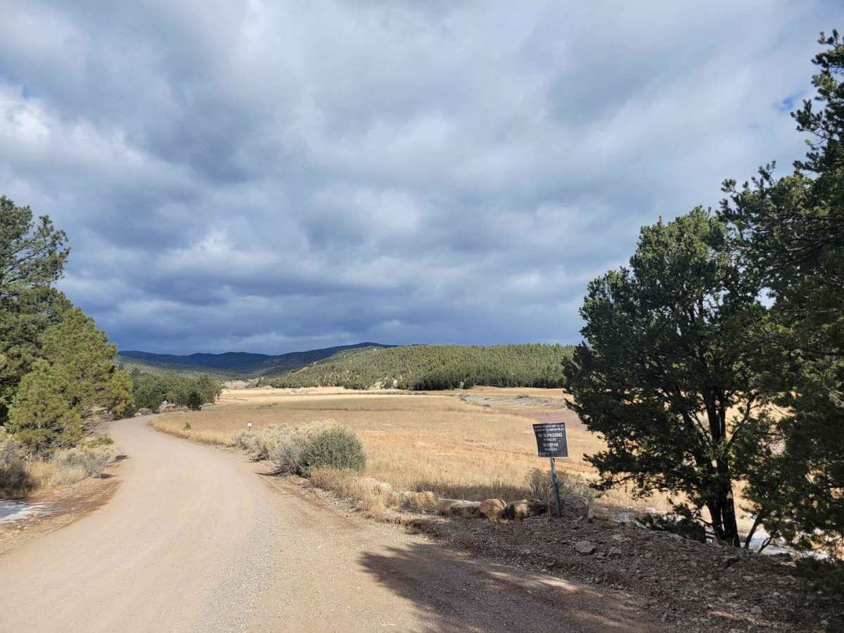 Molino Meadows photo 2