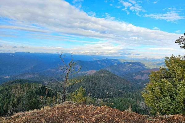Blue Creek NF9738