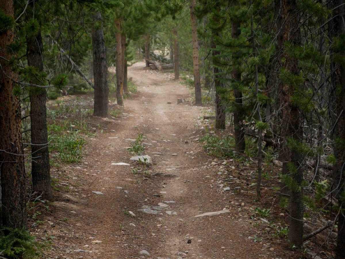 Illinois Ditch Trail  photo 6