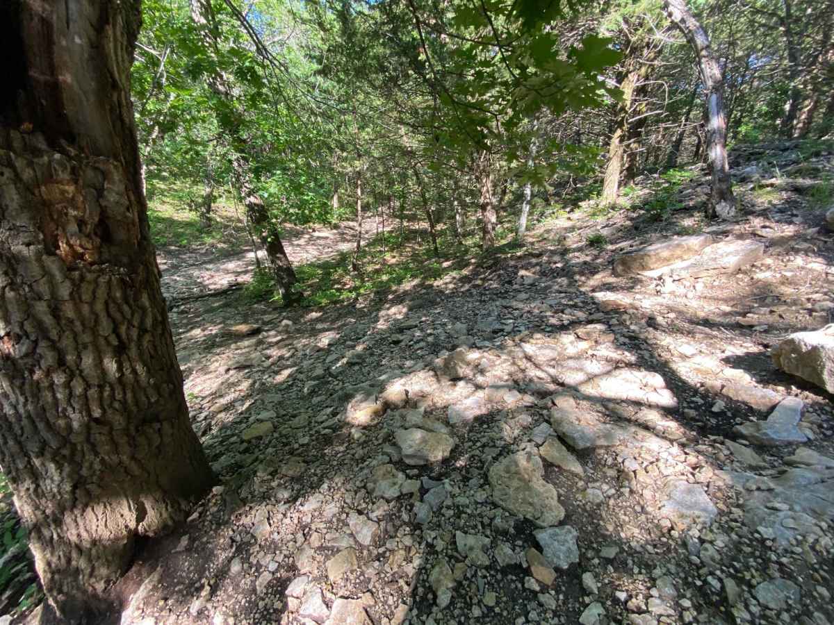 Turner's Trail photo 5