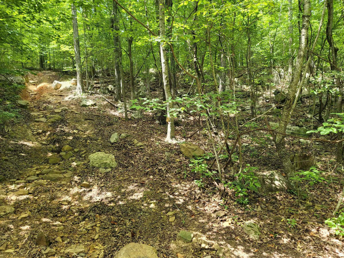 11 - Ground Control photo 4