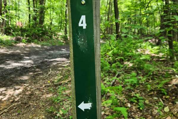 Trail 4 - Rock Run Recreation Area