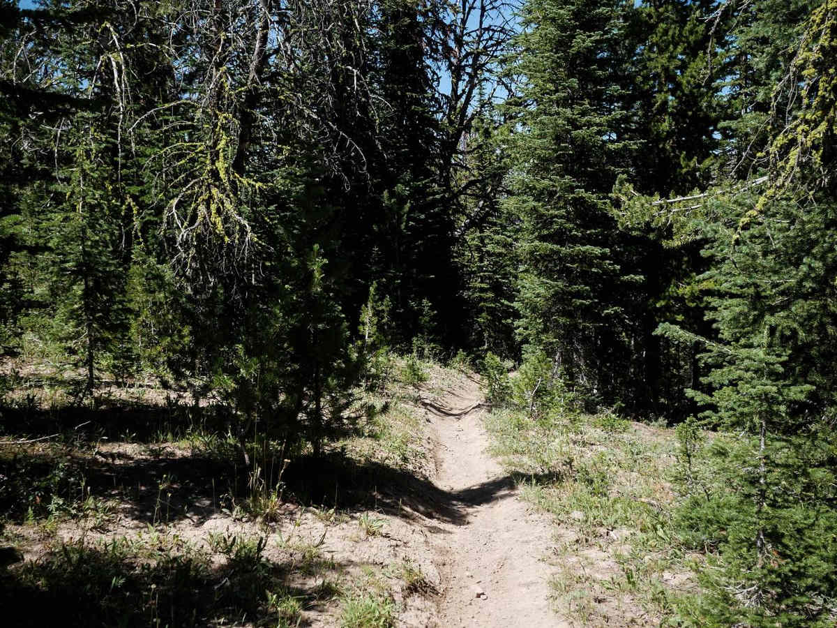 Inspiration Divide photo 4