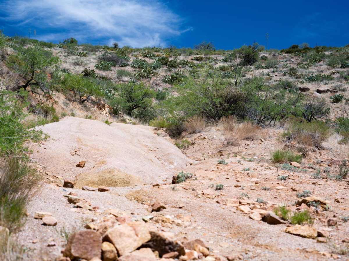 Rincon Tank Trail photo 3