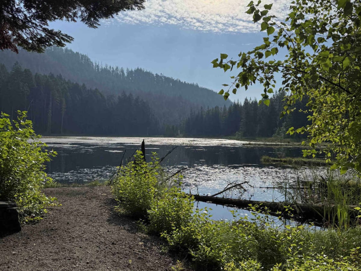 Skookum Pond trail photo