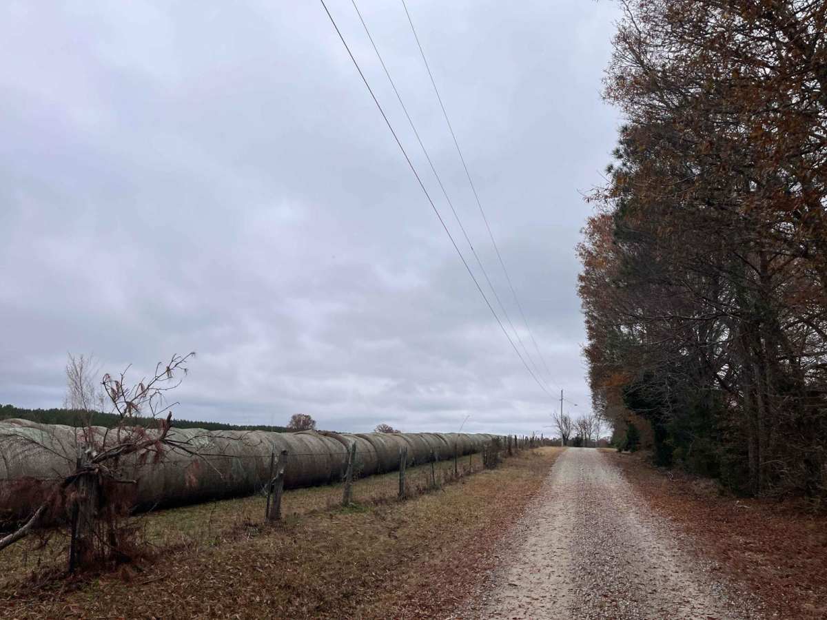 Round Up Road photo 5