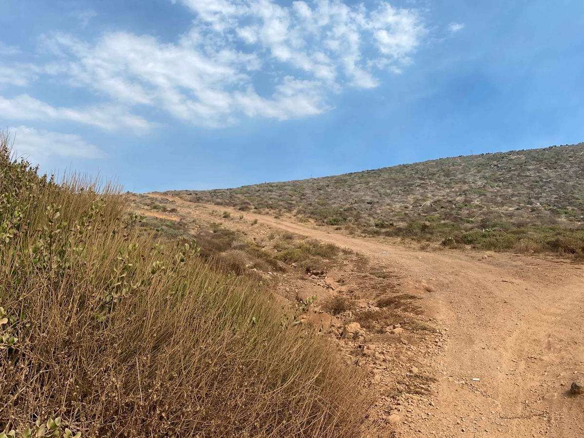 Highway One to the Coastal Route photo 2