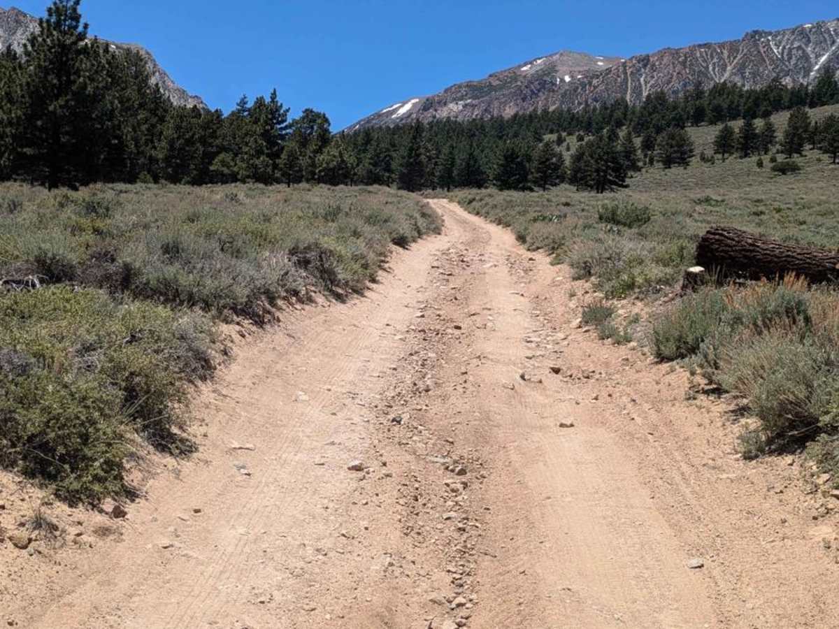 Walker Lake Trailhead photo 5